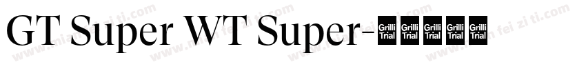 GT Super WT Super字体转换